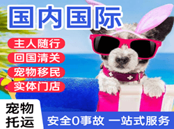 赣州黄金机场物流国际宠物托运 【国